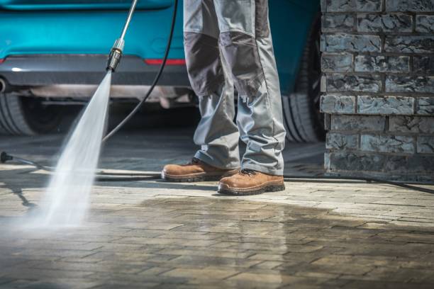 Best Winterizing Services  in Hampden Sydney, VA